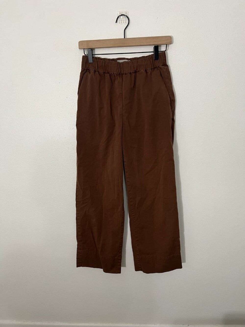 Everlane The Easy Pant Brown Size 6 Pull On Organic Cotton Pockets